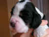 PICT0446.JPG (376683 byte)